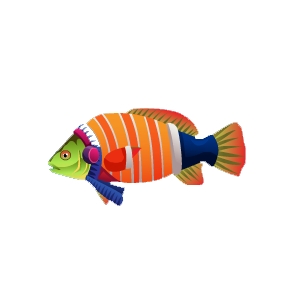 Orange Stripe Bundled Fish